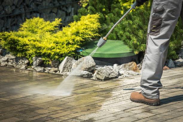 Best Animal Enclosure Cleaning  in Sherman, TX